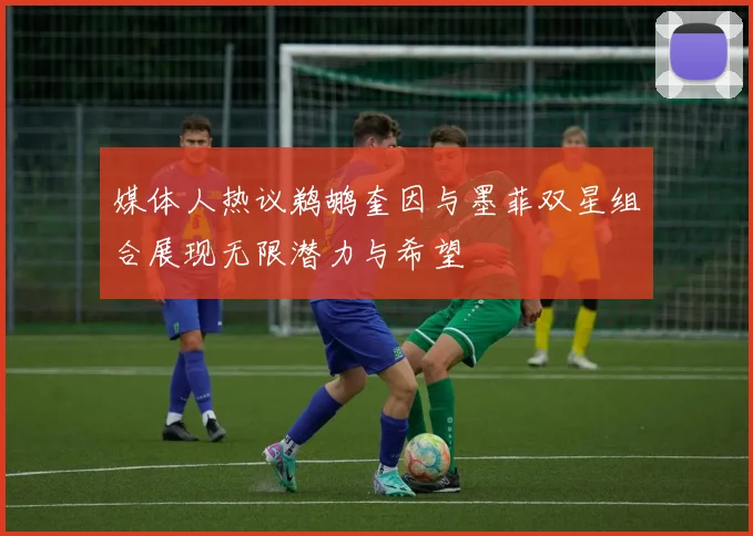 媒体人热议鹈鹕奎因与墨菲双星组合展现无限潜力与希望