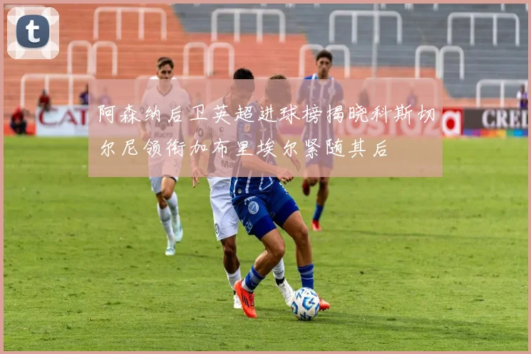 阿森纳后卫英超进球榜揭晓科斯切尔尼领衔加布里埃尔紧随其后