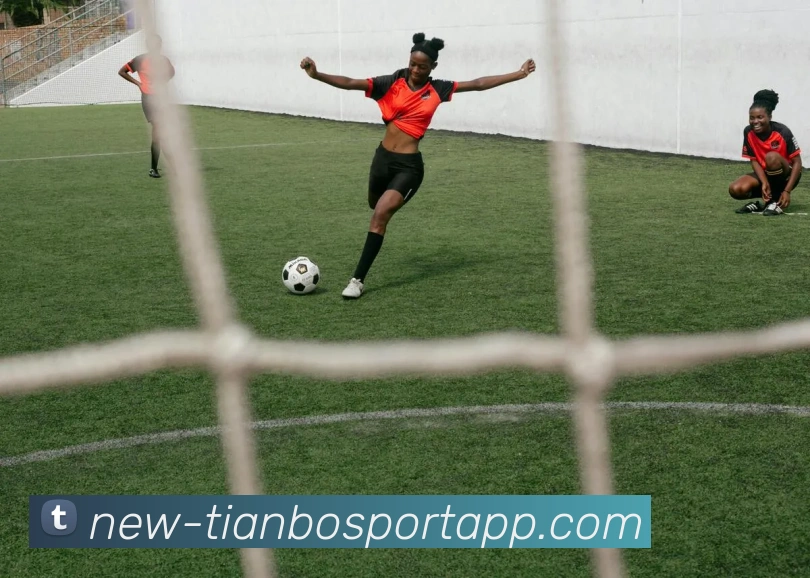 天博足球平台生态图